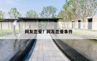 网友恋爱？网友恋爱事件