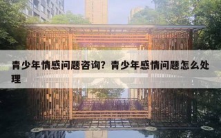 青少年情感问题咨询?青少年感情问题怎么处理 青少年情感问题咨询?青少年感情问题怎么处理