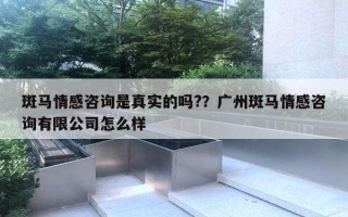斑马情感咨询是真实的吗?？广州斑马情感咨询有限公司怎么样