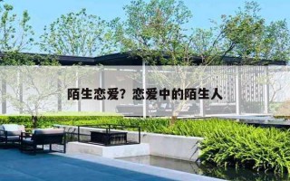 陌生恋爱？恋爱中的陌生人