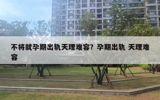 不将就孕期出轨天理难容？孕期出轨 天理难容