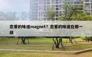恋爱的味道magnet？恋爱的味道在那一段