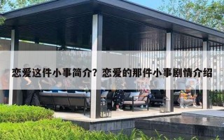 恋爱这件小事简介？恋爱的那件小事剧情介绍
