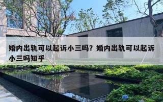 婚内出轨可以起诉小三吗？婚内出轨可以起诉小三吗知乎