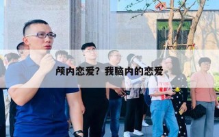 颅内恋爱？我脑内的恋爱