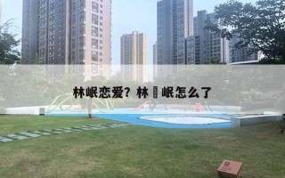 林岷恋爱？林煐岷怎么了