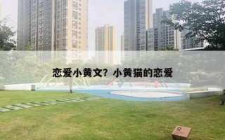 恋爱小黄文？小黄猫的恋爱