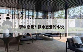 梦中恋爱？梦中恋爱的小说