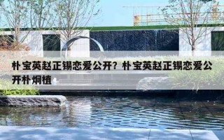 朴宝英赵正锡恋爱公开？朴宝英赵正锡恋爱公开朴炯植
