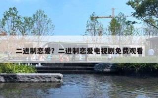 二进制恋爱？二进制恋爱电视剧免费观看