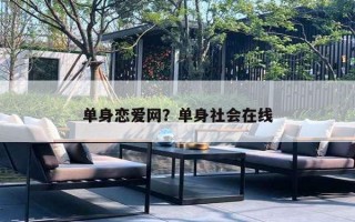 单身恋爱网？单身社会在线