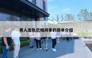 男人出轨已婚同事的简单介绍