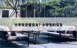 小学生恋爱交友？小学生的交友
