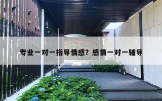 专业一对一指导情感？感情一对一辅导