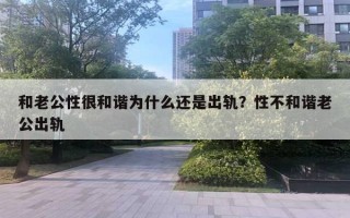 和老公性很和谐为什么还是出轨？性不和谐老公出轨