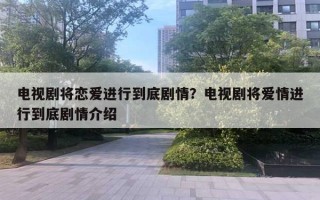 电视剧将恋爱进行到底剧情？电视剧将爱情进行到底剧情介绍