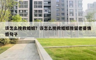 该怎么挽救婚姻？该怎么挽救婚姻挽留老婆情感句子