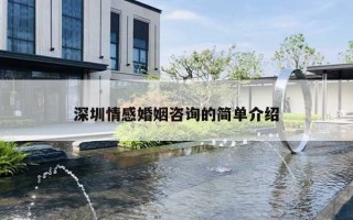 深圳情感婚姻咨询的简单介绍