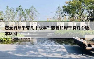 恋爱的犀牛有几个版本？恋爱的犀牛有几个版本区别