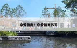 恋爱情商?恋爱情商苏哥 恋爱情商?恋爱情商苏哥