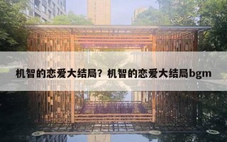 机智的恋爱大结局？机智的恋爱大结局bgm