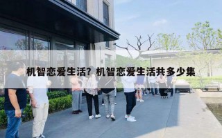 机智恋爱生活?机智恋爱生活共多少集 机智恋爱生活?机智恋爱生活共多少集