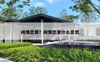 纯情恋爱？纯情恋爱什么意思