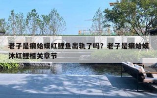 老子是癞蛤蟆红鲤鱼出轨了吗？老子是癞蛤蟆沐红鲤相关章节