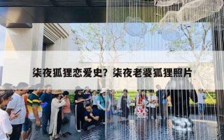 柒夜狐狸恋爱史？柒夜老婆狐狸照片