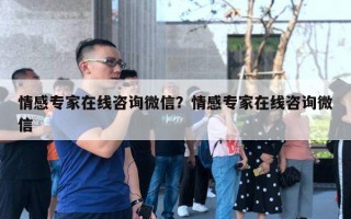 情感专家在线咨询微信？情感专家在线咨询微信