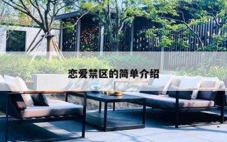恋爱禁区的简单介绍
