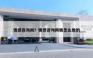 情感咨询网？情感咨询网销怎么做的