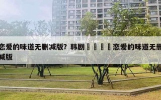 恋爱的味道无删减版？韩剧?恋爱的味道无删减版