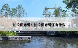 帕拉图恋爱？帕拉图恋爱还有什么