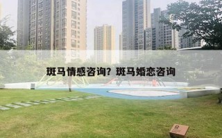 斑马情感咨询?斑马婚恋咨询 斑马情感咨询?斑马婚恋咨询