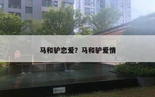 马和驴恋爱？马和驴爱情