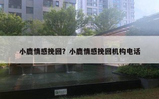 小鹿情感挽回?小鹿情感挽回机构电话 小鹿情感挽回?小鹿情感挽回机构电话