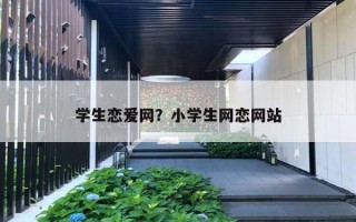 学生恋爱网？小学生网恋网站