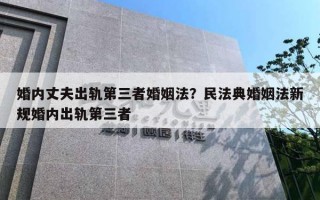 婚内丈夫出轨第三者婚姻法?民法典婚姻法新规婚内出轨第三者 婚内丈夫出轨第三者婚姻法?民法典婚姻法新规婚内出轨第三者