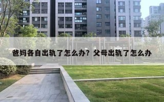 爸妈各自出轨了怎么办？父母出轨了怎么办