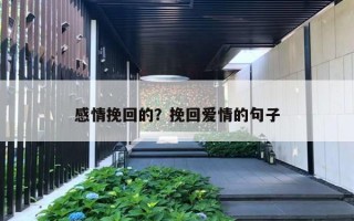 感情挽回的?挽回爱情的句子 感情挽回的?挽回爱情的句子