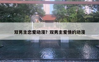 双男主恋爱动漫？双男主爱情的动漫
