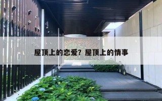屋顶上的恋爱？屋顶上的情事