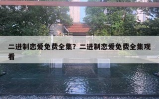 二进制恋爱免费全集？二进制恋爱免费全集观看