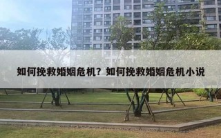 如何挽救婚姻危机？如何挽救婚姻危机小说