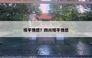 檬芋情感？四川檬芋情感
